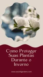 Ebook Como Proteger Suas Plantas Durante o Inverno