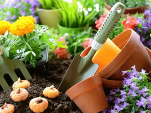 Soul of Gardens